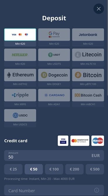 Explore the full array of accepted deposit methods with a Platincasino account, including multiple cryptocurrencies like Bitcoin.