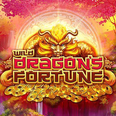 Wild Dragon’s Fortune Logo