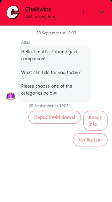 The 24/7 AI-powered chatbot fielding initial customer queries