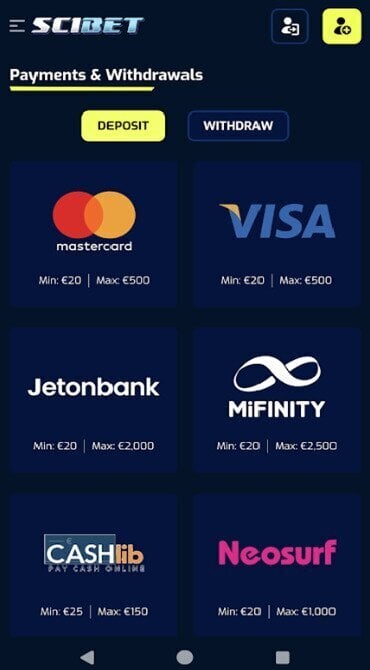 A screen grab showing Scibet Casino's supported deposit methods.