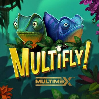 MultiFly