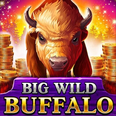 Big Wild Buffalo