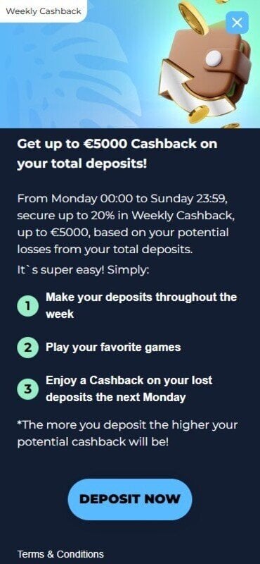 A screenshot of Moana Casino’s cashback, a weekly bonus demonstrated by a coins falling over a wallet.