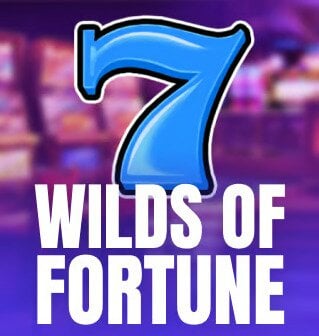 Wild of Fortune game logo small